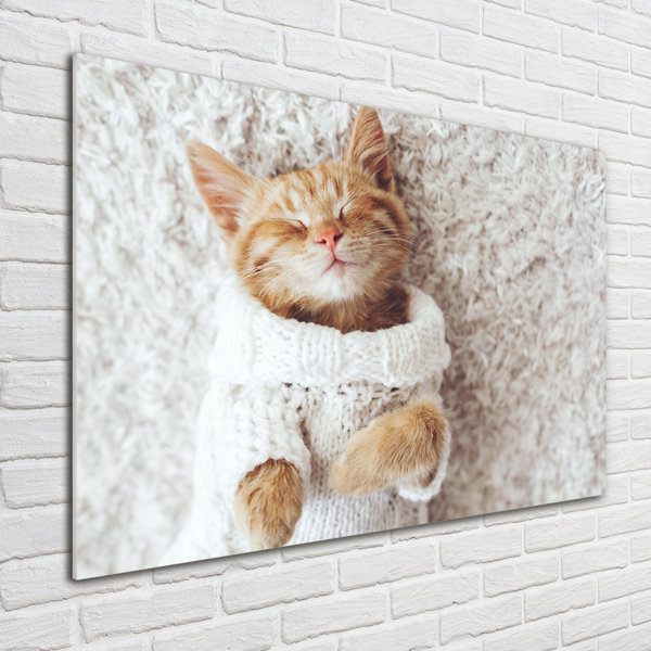 Ebern Designs Glasbild Kitten In A Sweater Wayfair De